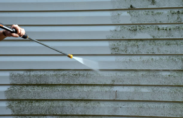 Best Toxic Mold Removal  in Lockport Heights, LA