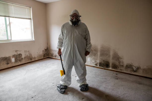 Best Mold Cleaning Services  in Lockport Heights, LA